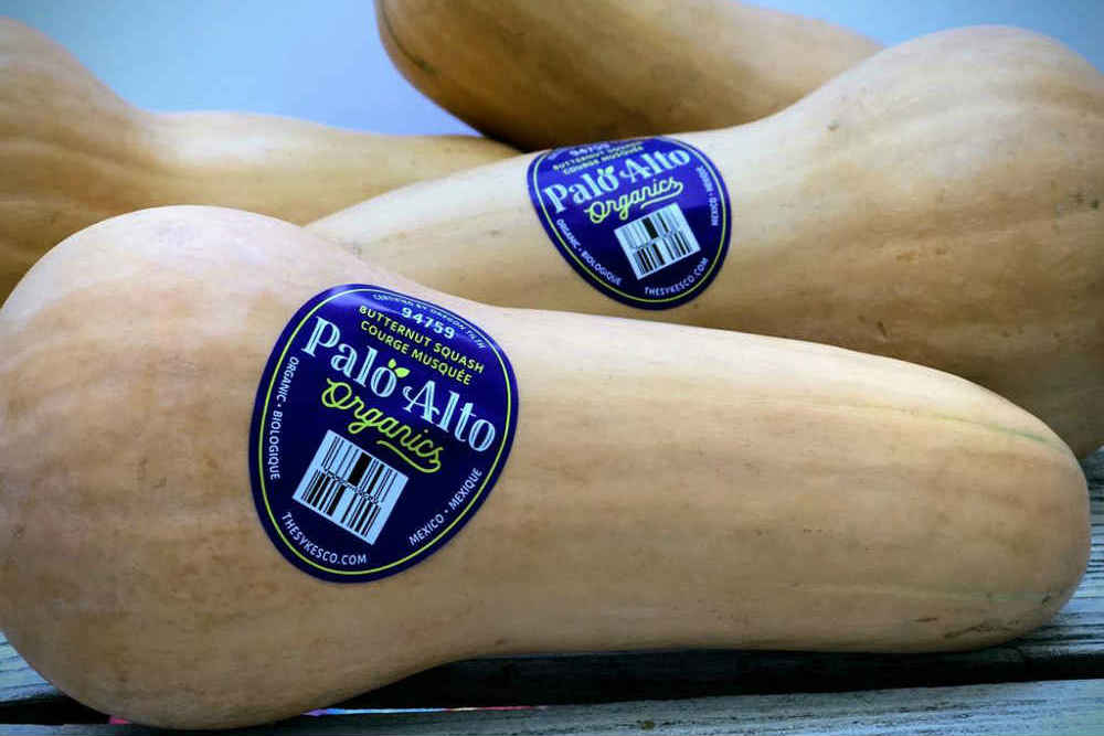 Palo-Alto-Organics_Butternut