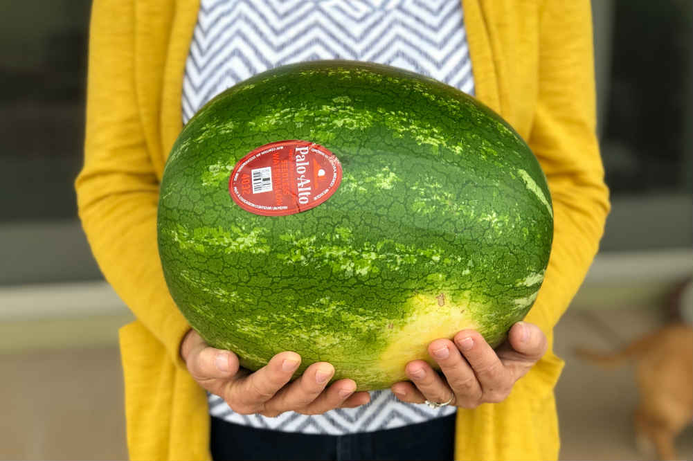 Palto-Alto-seedless-watermelon