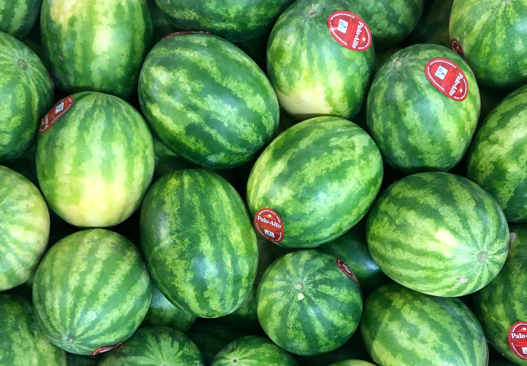 watermelon bin